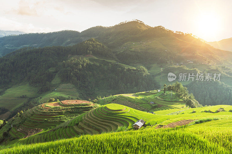 美丽的风景，绿色的稻田准备在越南西北部的梯田日落山在木仓寨，Yen Bai，越南